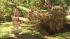 Damage from summer storms