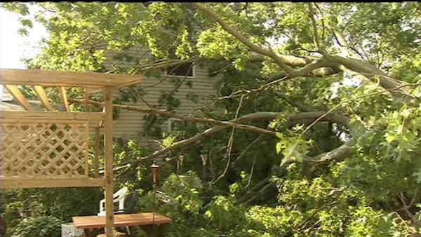 Damage from summer storms