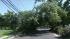 Damage from summer storms