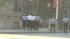 RAW: Shots fired in Center City standoff :: Standoff with armed man near City Hall