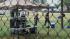 Photos of Wilmington soccer tournament shooting