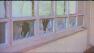 St. Francis Cabrini School vandalized