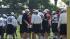 Eagles head coach Andy Reid