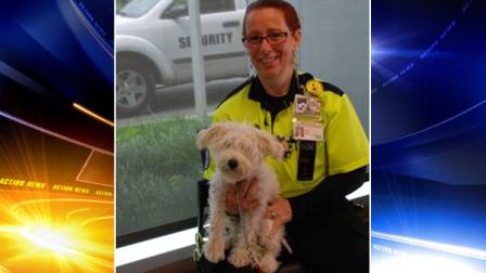 Dog tossed from moving car in Delco