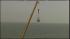 Professional daredevil Nik Wallenda completes an...