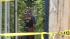 Body found in North Philadelphia