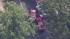 Police say a fleeing bank robber crashed his...
