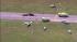 Millville Airport plane crash