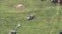 Millville Airport plane crash