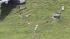 Millville Airport plane crash