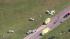 Millville Airport plane crash