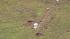 Millville Airport plane crash