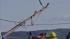 Two people are dead after being struck by a...