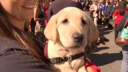 School for working dogs opens in Phila.