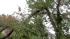 September 18, 2012: Part of a tree came crashing...