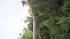 September 18, 2012:  A large tree brought power...