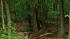 September 18, 2012:  A large tree brought power...