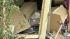 Partial house collapse in South Philadelphia