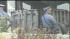 Deadly crash, fire on NJ Turnpike