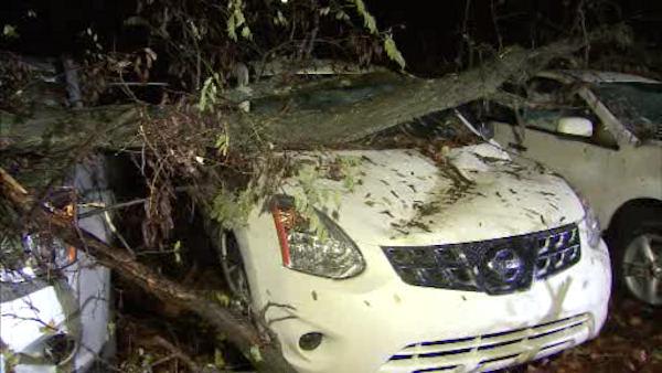 Devon damage