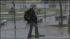Snowy noreaster hits the area