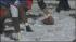 Snowy noreaster hits the area