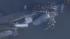 Train carrying chemicals derails into Del. River