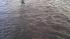 Action News viewer Lynne Chapman sent in these...