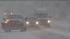 The frigid temperatures also didnt stop the...