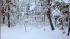 Action News viewer backyard in Toms River, N.J.
