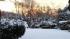 Action News viewer backyard in Northeast...