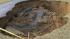 A massive sinkhole, at least 30 feet wide and 15...