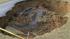 A massive sinkhole, at least 30 feet wide and 15...