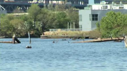 Woman revived after water rescue