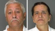 Suspects in Radnor burglary