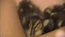 Ducklings rescued
