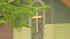 Maple syrup used to vandalize Pottstown church