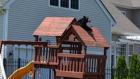 Local bear sightings