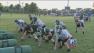 Reducing concussions in youth football leagues