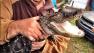 Got her! Wildlife officials nab Berks County alligator
