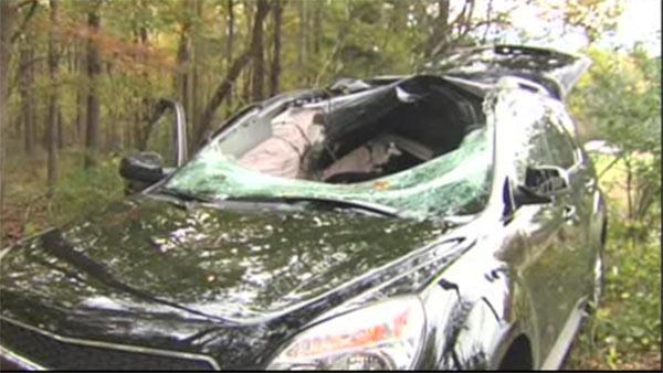 Driver killed by deer through windshield ID'd