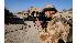 Prince Harry in Afghanistan