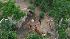 Uncontacted Amazon tribe