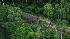 Uncontacted Amazon tribe