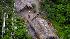 Uncontacted Amazon tribe