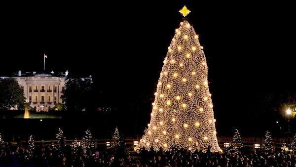 The National Christmas Tree, near the White House in Washington, is illuminated during a ceremony attended by President George W. Bush and first lady Laura Bush, Wednesday, Dec. 3, 2008. (AP Photo/J. Scott Applewhite)