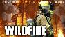 Wildfire