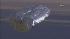Runaway balloon in Colorado