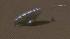 Runaway balloon in Colorado