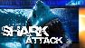 Shark attack